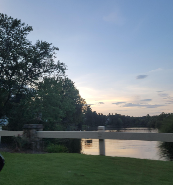 Night on the lake